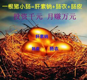 解鎖農村創業新機遇 代理加盟加工鈉技術轉讓合作辦廠，產品包銷無憂