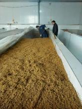 醬油釀造技術轉讓 傳統(tǒng)工藝與現(xiàn)代商業(yè)的融合之道